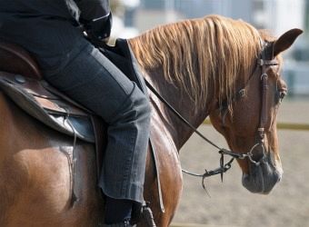 Horse Riding Hen Weekend Activity